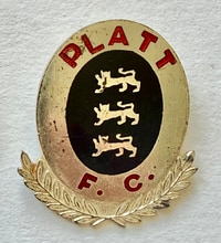 Platt lapel pin badge