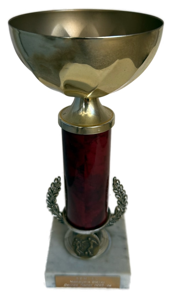 Player of the Year - APM 1993-94